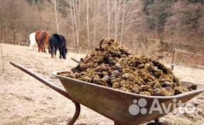 Навоз,Перегной