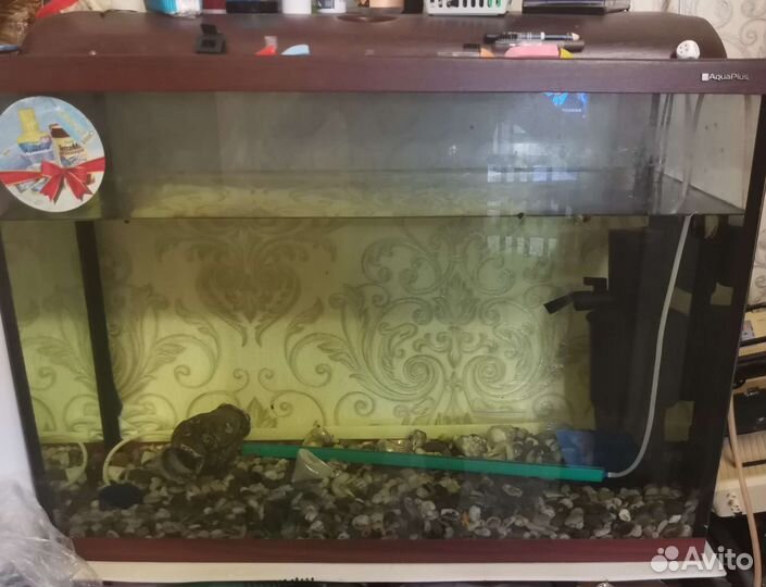 Аквариум
