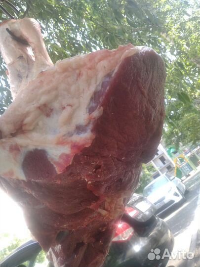 Мясо говядина