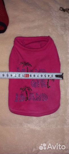 Вещи (одежда) для маленьких собак - лот