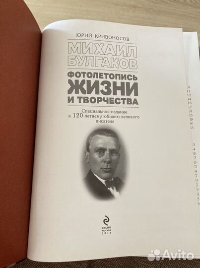 Книга о Булгакове М. А