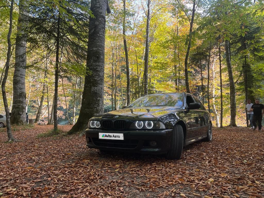 BMW 5 серия: фото владельца