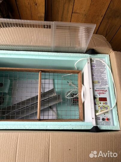 Инкубатор для яиц автоматический бу
