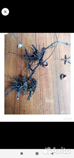 Дрифтвуд, коряги