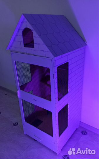 Витрина Вашей мечты для шиншилл, дегу, белки