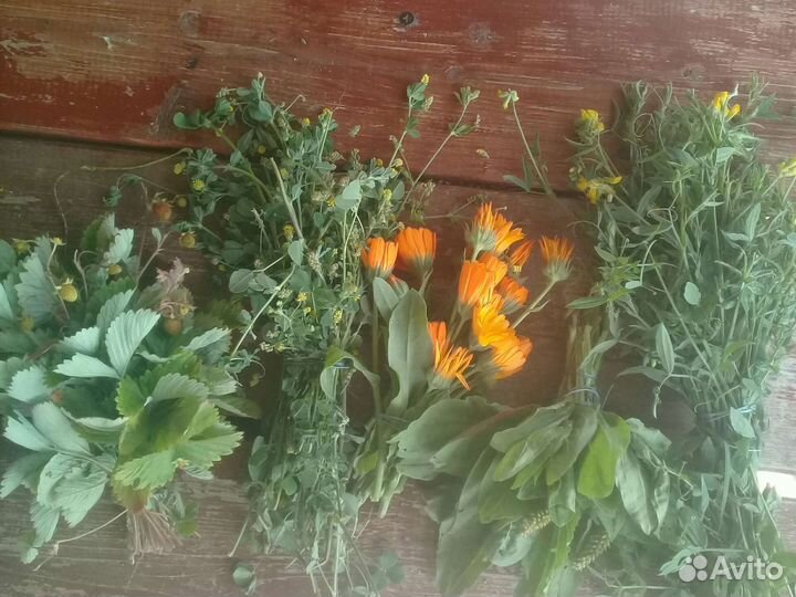 Для грызунов лакомство и др