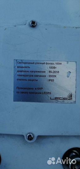 Кобра уличная