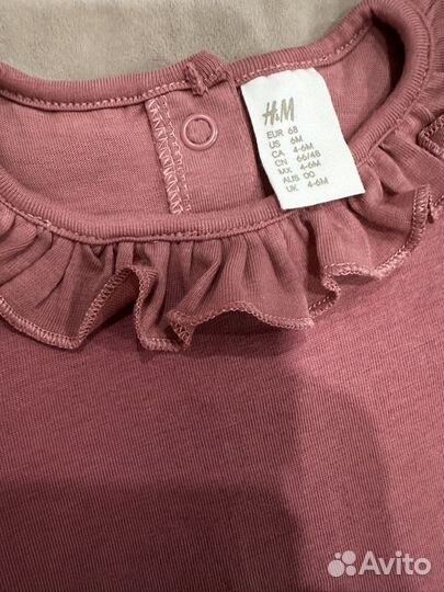 Боди hm 68 новые