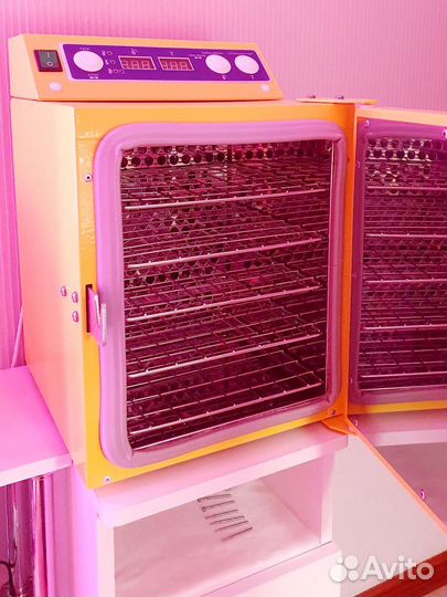 Сухожар Ферропласт 10