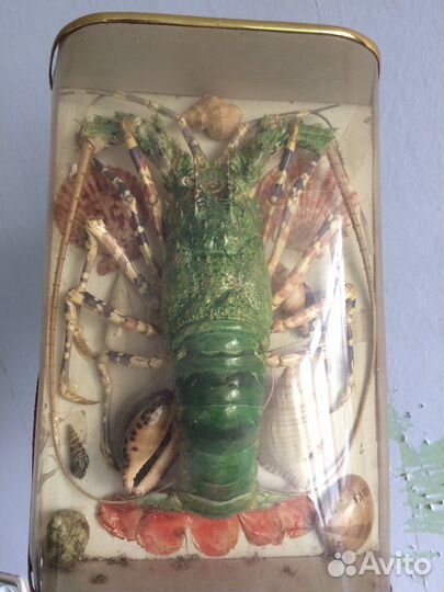 Раки декораивные изделие