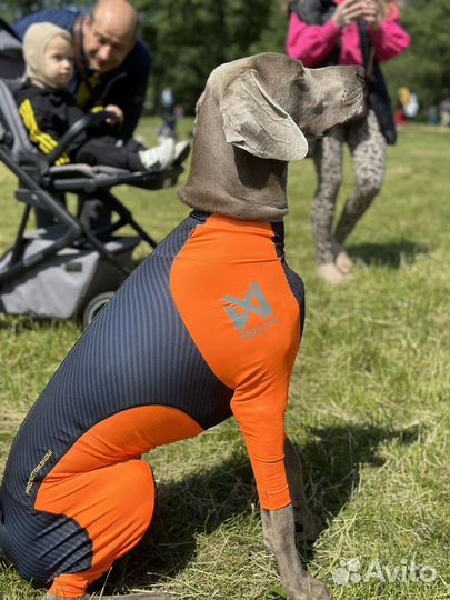 Комбинезон для собак protector snow Non-stop