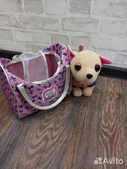 Собака чичилав