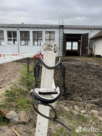 Уздечка для лошади