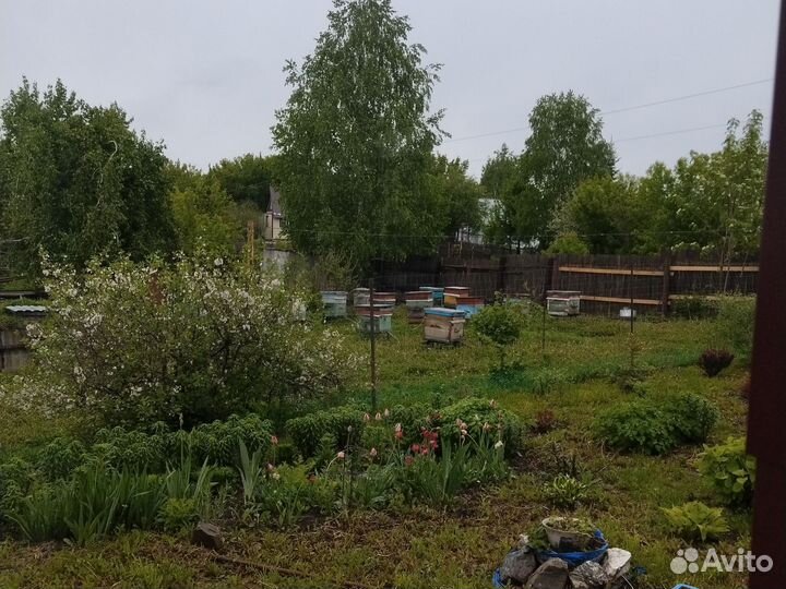 Продам пчелосемьи, магазинах с сушью