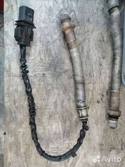 Датчики кислорода bmw оригинал