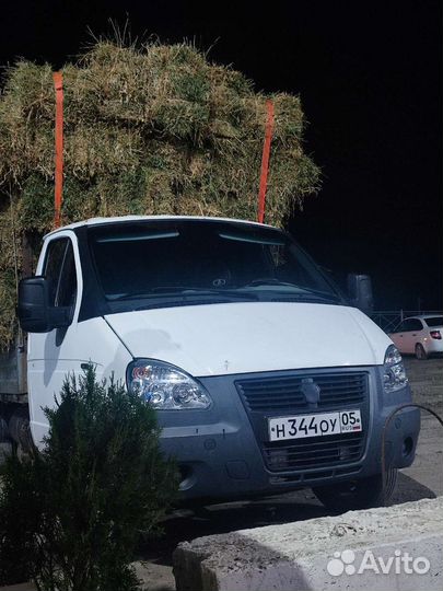 Сено.Комышь.Солома рисовая