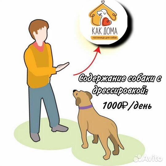 Зоогостиница для собак 