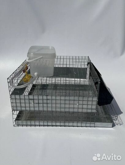 Клетки для перепелов