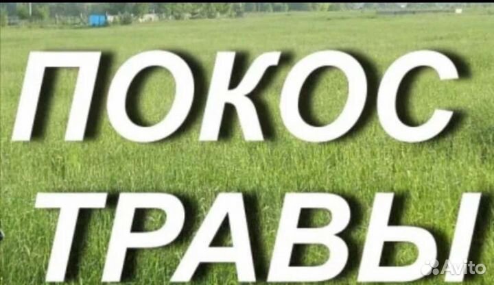 Покос травы триммером