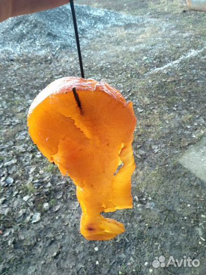 Коптим Курдюк (Дум)