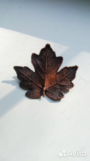 Брошки из листьев клёна, липы, ореха, гальваника