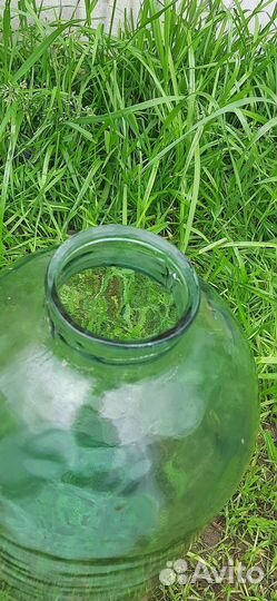 Банка стеклянная 10 л