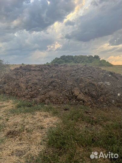 Навоз стары каровы