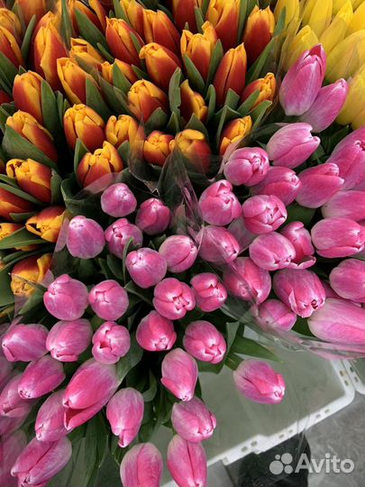 Цветы Тюльпаны и букеты с доставкой 24 часа