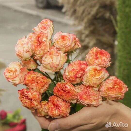 Цветы розы букет