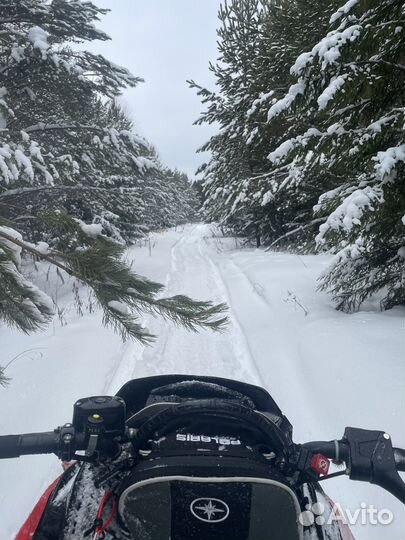 Polaris PRO RMK 2015