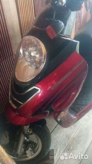Racer sagita