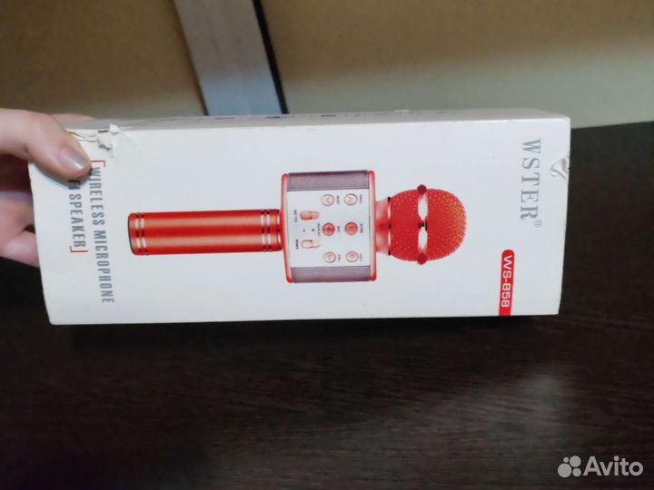 Колонка-микрофон