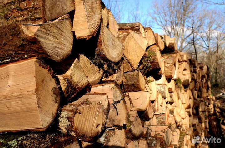 Дрова Осиновые