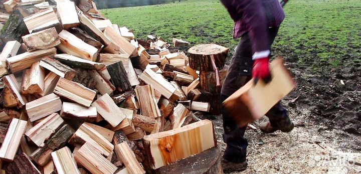 Дрова хорошие