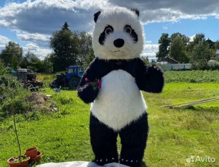 Поздравление от чебурашки