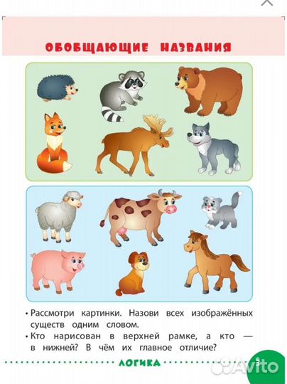 Новая книга 