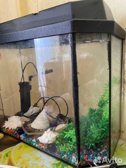 Аквариум