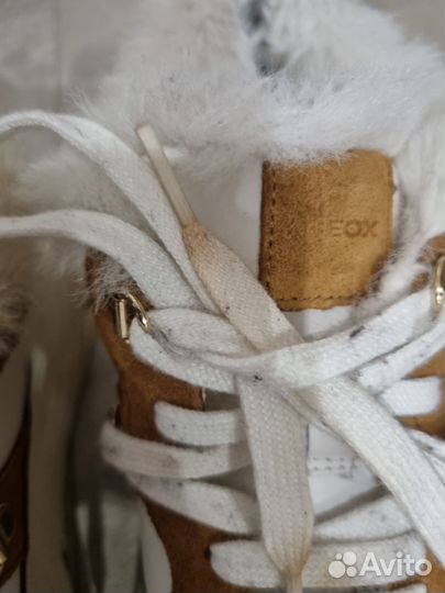 Geox ботинки женские 40