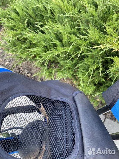 Велосипед трехколесный lamborghini