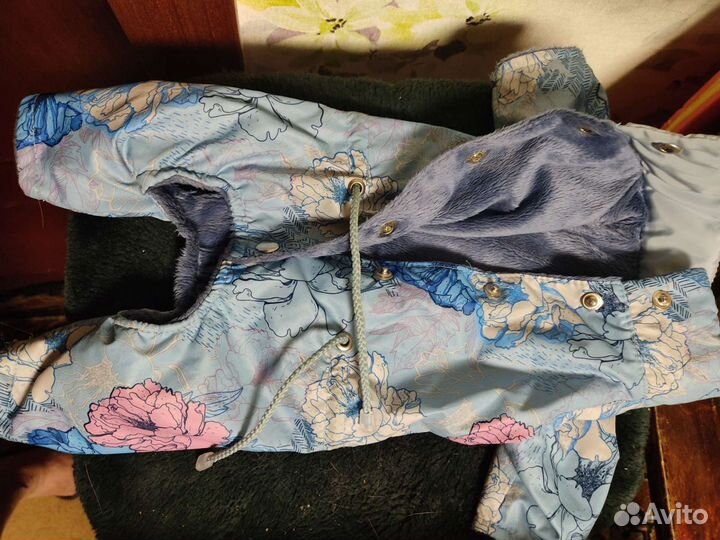 Комбинезон осень-весна на маленькую собаку. Новый