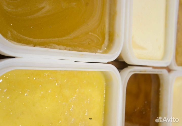 2024 Мед натуральный алтайский опт