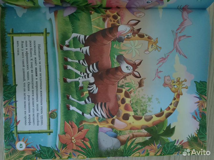 3D книга для детей