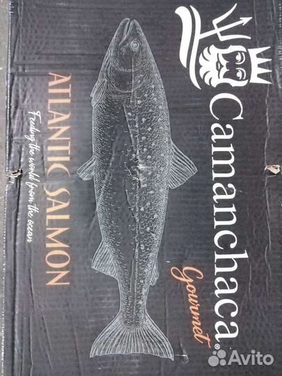 Стейки (рыба сёмга)