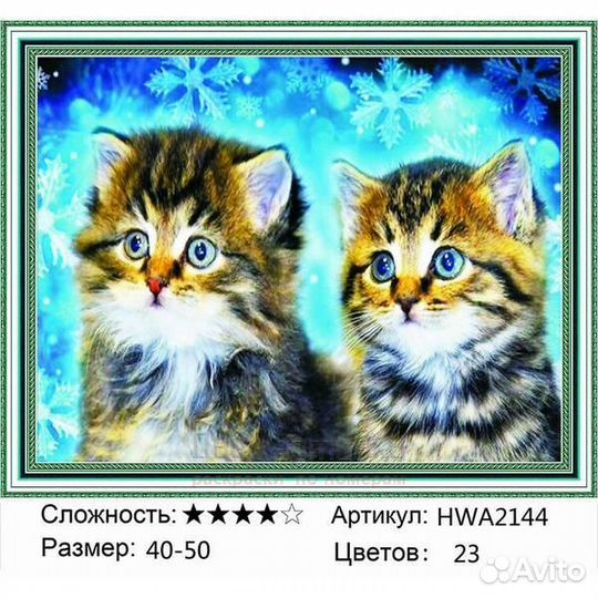 Алмазная мозаика 40x50 Пара пушистых котят на фоне