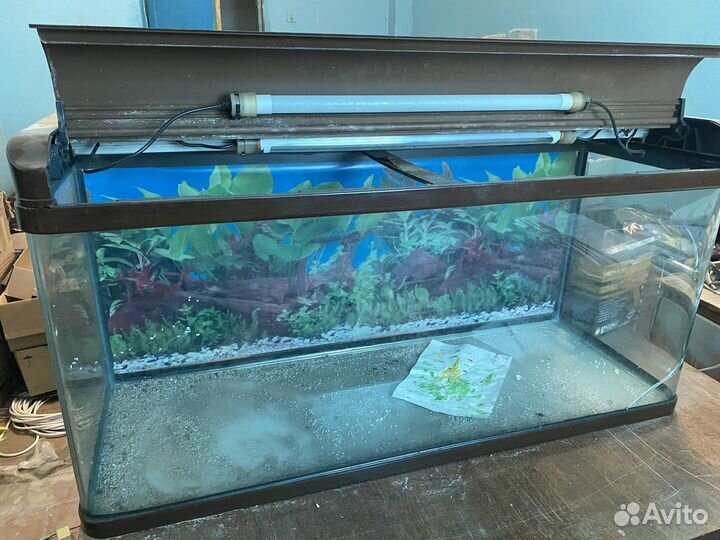 Аквариум