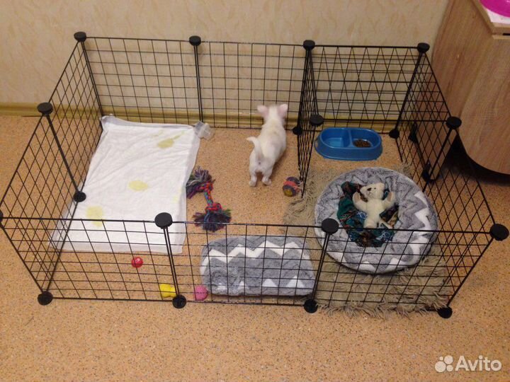 Вольер для собак
