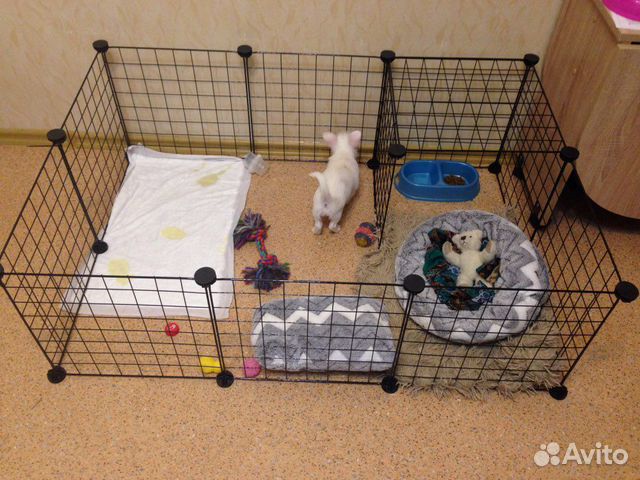 Вольер для собак