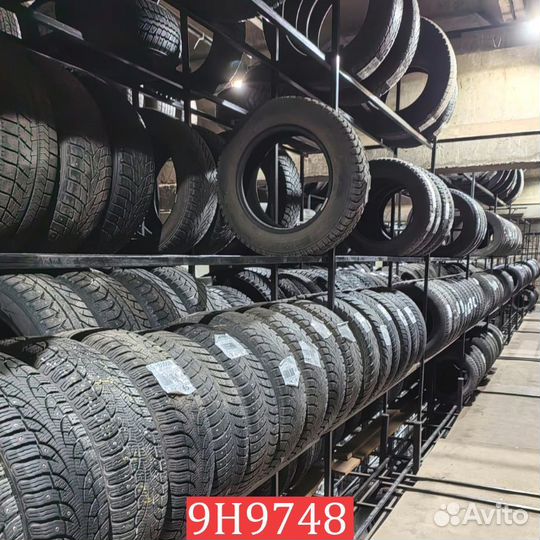 Continental ContiContact TS815 205/50 R17 93L