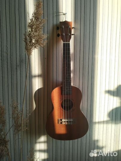 Укулеле Flight nuc 310