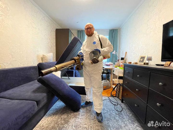 Дезинфекция. Уничтожение клопов, тараканов, блох